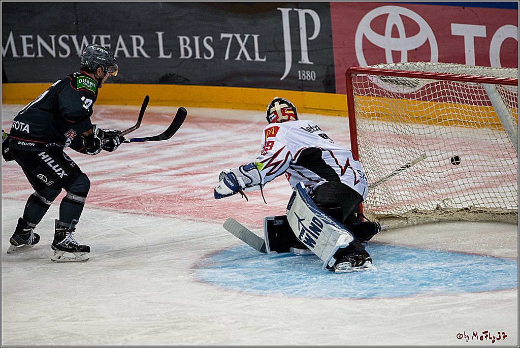 Koelner Haie - Pinguins Bremerhaven, 25.10.2016